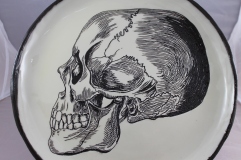 Skull plate, based on Victorian Scientific Illustration