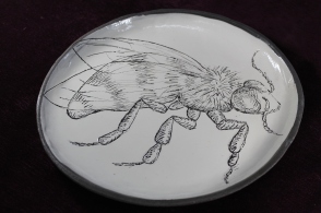 Bee sgraffito plate